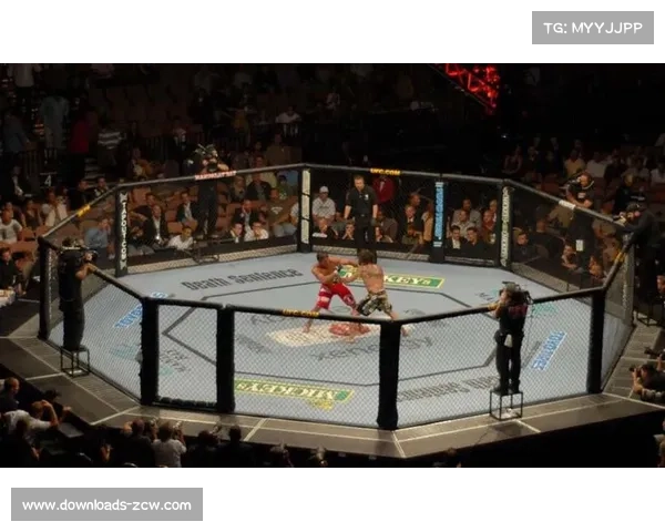 UFC国际格斗周或成轻量级冠军统一战理想举办时机